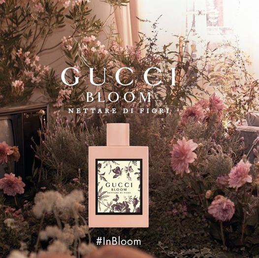 Gucci Bloom Nettare Di Fiori EDP Intense for Women - Perfume Planet 