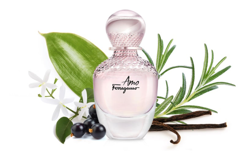 Amo Eau De Parfum for Women - Perfume Planet 